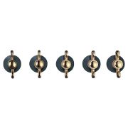 Набор из 5 ручек для варочной панели SMEG 5MP800A